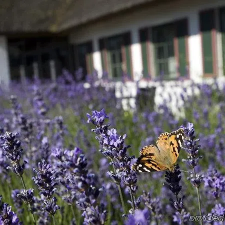 Inn St. Binderup Store Binderup