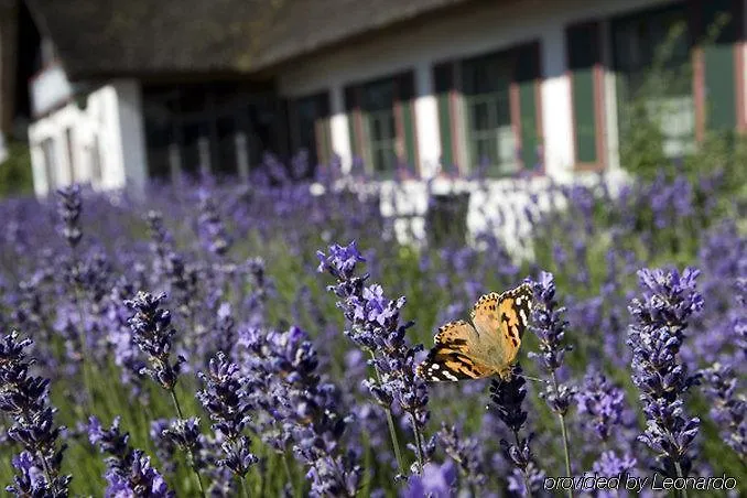 Estalagem St. Binderup Store Binderup