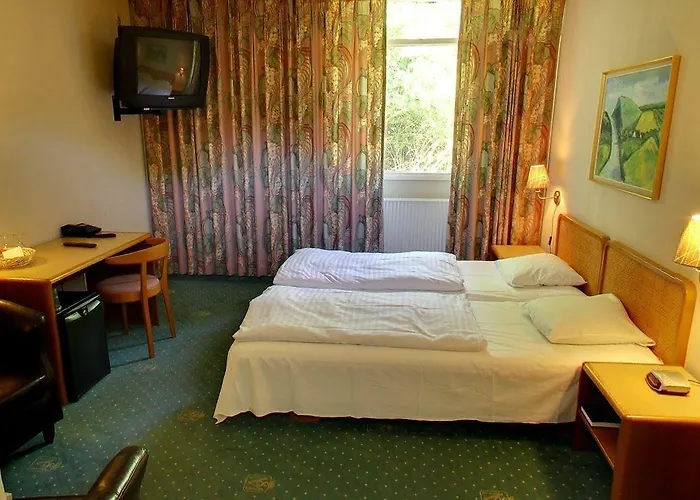 여관 세인트 바인더업 크로